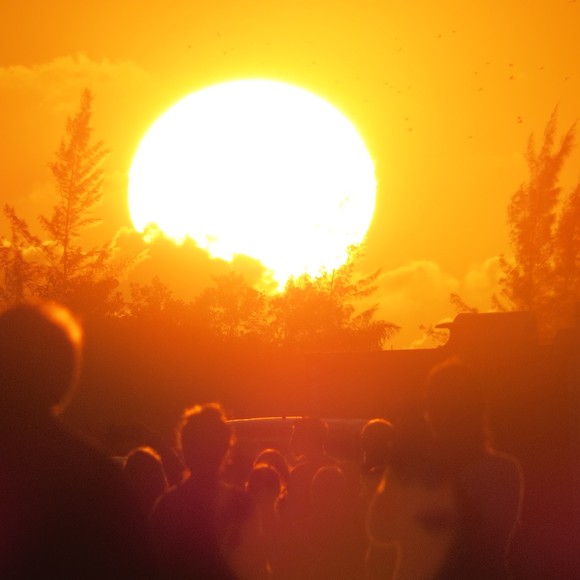 Meet your Posher, Matt - Picture 1 of 1